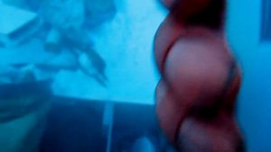 Записки охотника-промысловика. Часть 2