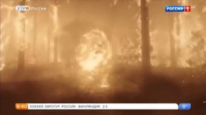 Дело храбрых.Ужин.Ван Гог.С любовью Винсент.Смотреть онлайн.