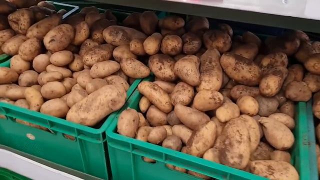 #Жизньнаюге Отдых в Анапе в каких НОМЕРАХ можно остановиться НЕДОРОГО/Обзор моего Номера!