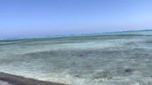 Пляж, море. Подробный обзор. Дрим Лагун/DREAM LAGOON MARSA ALAM 5*.Курорт Марса Алам. Египет.