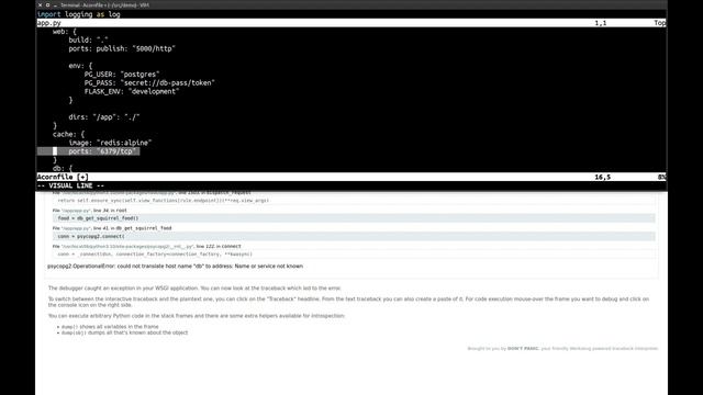 Introducing Acorn смотреть онлайн