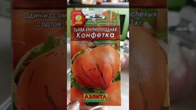 Тыква Конфетка