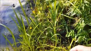 Не фарт, грязь и мусор на яме.