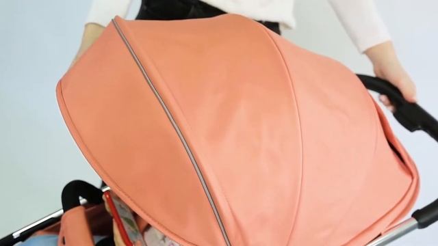 Прогулочная коляска Farfello Bliss (книжка) смотреть онлайн