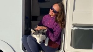 путешествие на автодома с домашними животными
