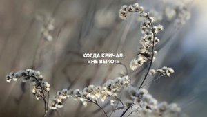 Павел Плахотин: «Он слезы утрет», альбом «С неба водопады». Христианская музыка