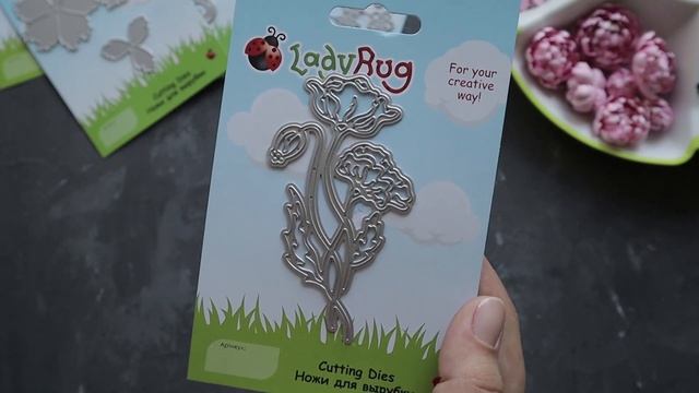 Обзор ножей LadyBug/ Диз. посылка №5 и не только/ Скрапбукинг смотреть онлайн