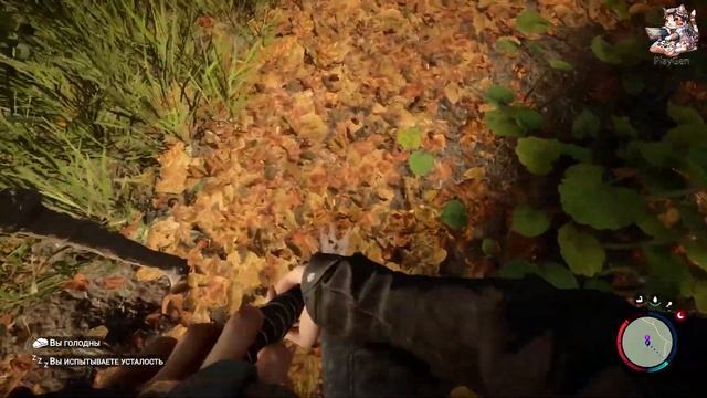 Где найти дробовик в Sons of The Forest смотреть онлайн