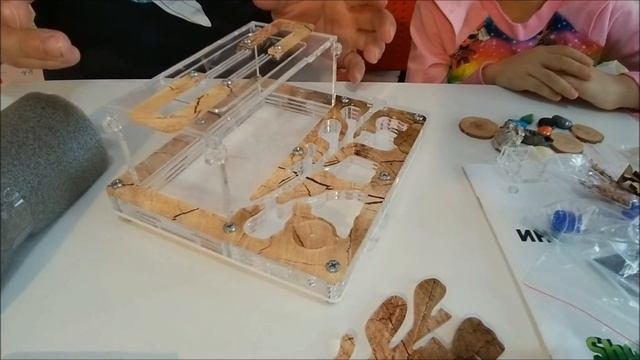 Муравьиная ферма и заселение муравьёв в формикарий смотрите видео обзор для детей и родителей