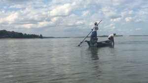 Irrawaddy dolphins helping fishermen in Myanmar to catch fish