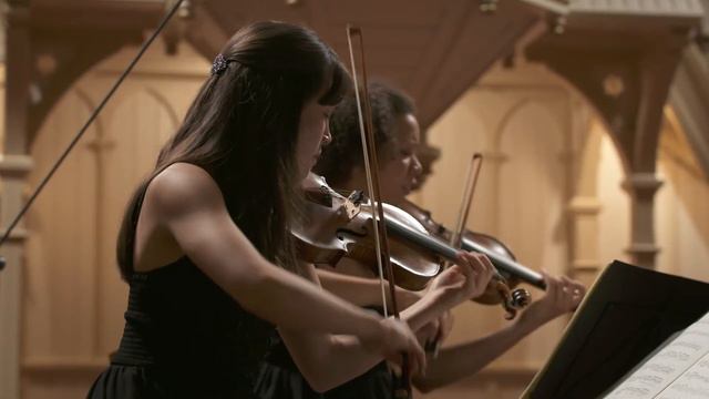 Johannes Brahms, String Quartet No.3 op.67 - GoYa Quartet смотреть онлайн