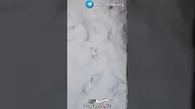 video_2023-03-31_14-57-05.mp4 смотреть онлайн