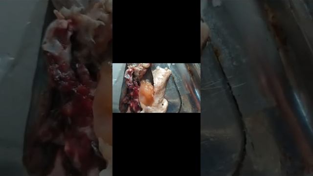 Минтай купил пожарить.А там ??? смотреть онлайн