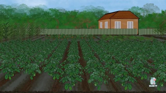 Песня про супчик | Maako TV смотреть онлайн