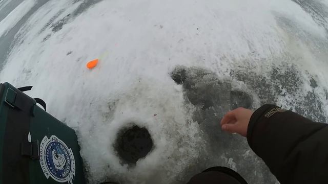 Первое посещение Рыбинки в 2018 году смотреть онлайн