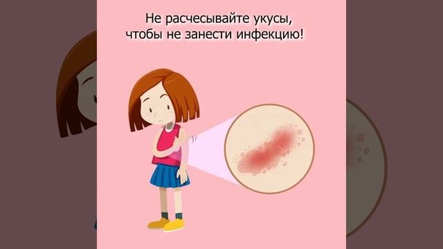 Как определить какое насекомое вас укусило?