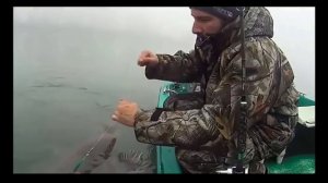 Рыбак поймал нечто. Самое интересное  подписывайся