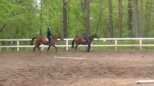 Маршрут Кавалетти на рыси. Готовимся к стартам