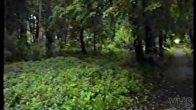 Аптекарский сад. Тобольск. 1998 год.