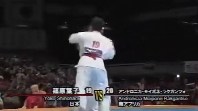 2011 WKO Shinkyokushinkai. 10th world open weight karate championship