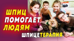 Шпиц помогает людям. Шпицы Руда и Бэлла выступают для детей-инвалидов. Шпицетерапия