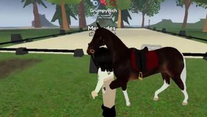 прилетела обратно//купила лошадь ?//мини влог //RRP//WILD HORSE ISLAND