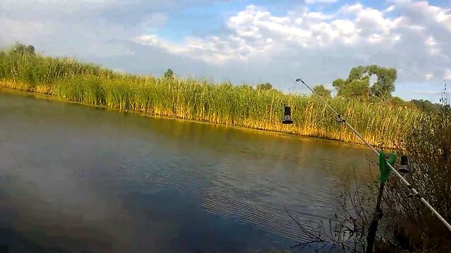 ловля карася на фидер смотреть онлайн