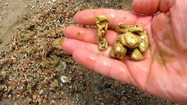 Золотая лихорадка (Калужская обл.)