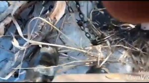 ОХОТА НА БОБРА/КП320/Капкан N°5 (ФИНАЛ!!!)