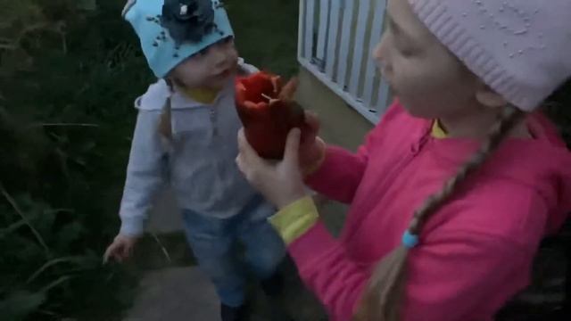 Осенние витамины для деток из болгарского перца "Калифорнийское Чудо". смотреть онлайн