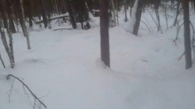 О приманке на куницу,соболя и норку смотреть онлайн