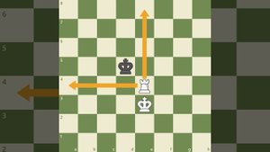 31. Мат ладьей