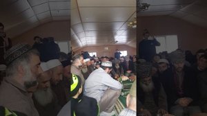 Тулки на даргинском