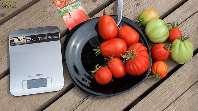 ПУЗАТА ХАТА! ОБЗОР СОРТОВ ТОМАТОВ! Советы от ЗЕЛЕНОГО ОГОРОДА! смотреть онлайн