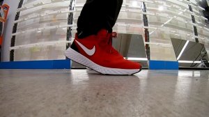 Кроссовки Мужские  Беговые Nike Revolution 5.