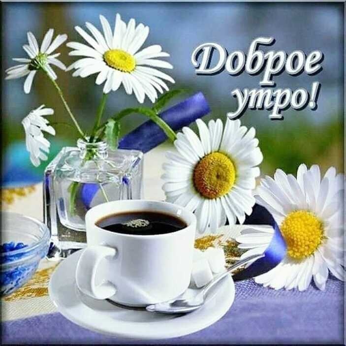 Доброе Утро! Утро Началось! Позитив с утра!