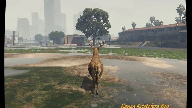 GTA5 Превращение в Оленя смотреть онлайн