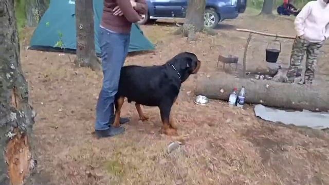 ПОЕЗДКА НА БАЗУ "ЧУСОВАЯ" отлично погуляли и отдохнули, наш выходной.