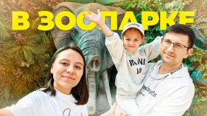 СНЯЛА НАПАДЕНИЕ ПУМЫ НА РЕБЕНКА  | РАБОТА В ЯНДЕКС ДОСТАВКЕ