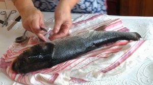 Фаршированный толстолобик!