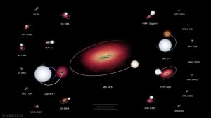 Визуализация 22 двойных систем, в которых находятся черные дыры