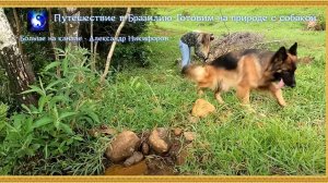 Путешествие в Бразилию. Готовим на природе с собакой