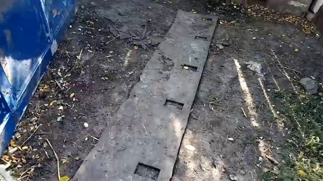 Взвешивание свиней. Что лучше, замеры или весы???
