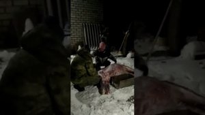 разделка лося