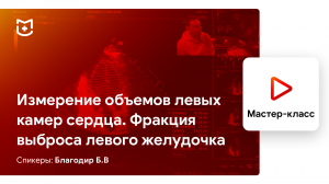 Основы ЭхоКГ. Измерение объемов левых камер сердца. Фракция выброса левого желудочка. Борис Благодир