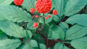 Маски для лица омолаживающие