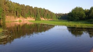 Река Оредеж 60 км от Санкт-Петербурга