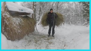 Снежные деньки хозяйства в деревне! ❄️❄️❄️