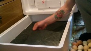 ИНКУБАТОР НЕСУШКА Б1-Б2 НА 104 ЯЙЦА // ПЛЮСЫ И МИНУСЫ // ЭКСПЛУАТАЦИЯ В ТЕЧЕНИИ 2 СЕЗОНОВ