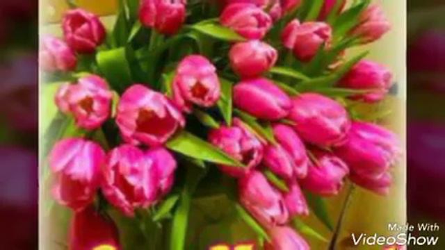 Мой зайки с 8 Марта 😘😘😘❤ смотреть онлайн